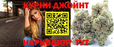 крисы Камышлов