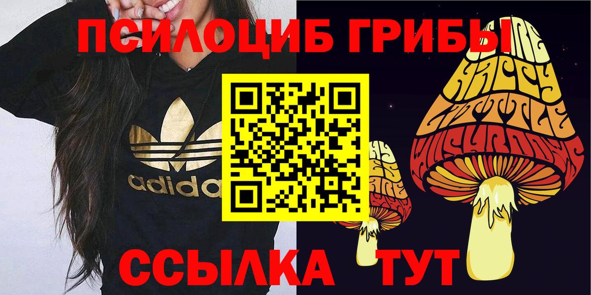 Дзержинский  Псилоцибиновые грибы Cubensis  купить наркотики цена  Вход с VPN 